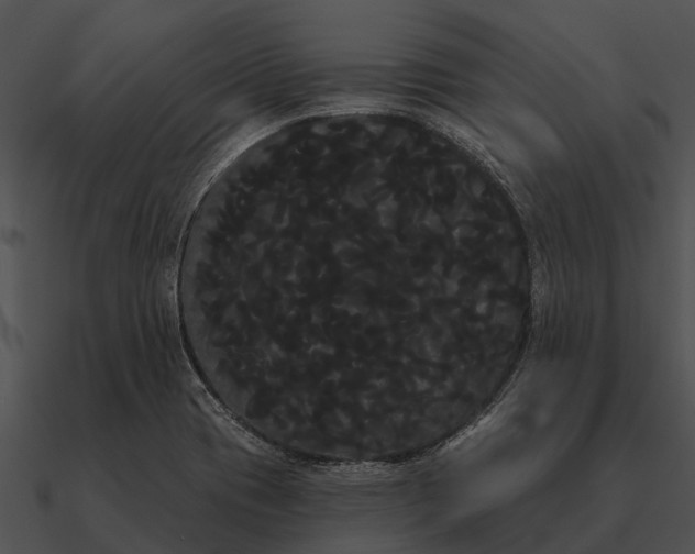 X0000090711417200708031424