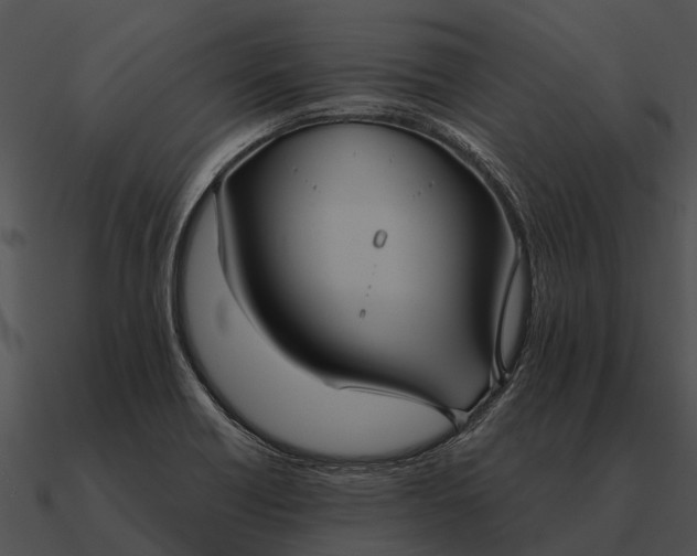 X0000090711418200708031424