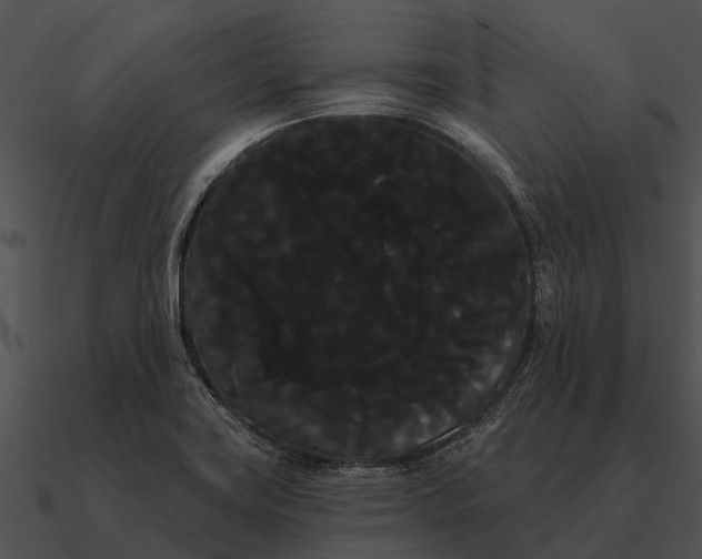 X0000090711419200708031424