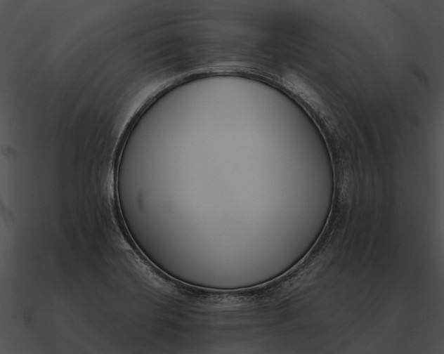 X0000090711420200708031424