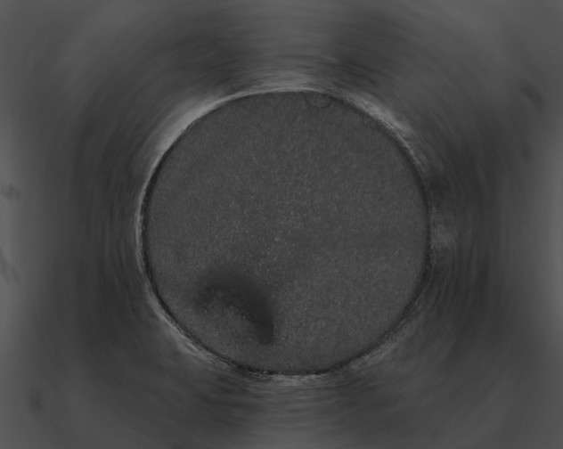 X0000090711423200708031424