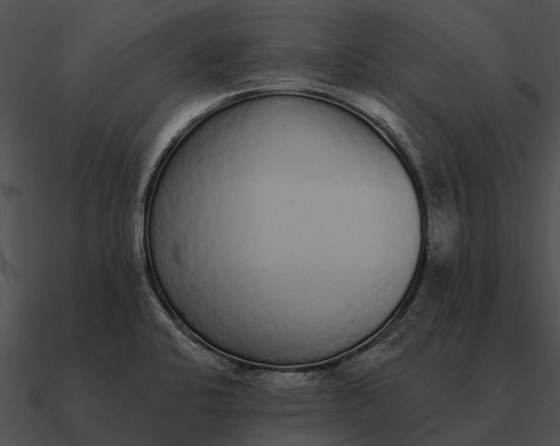 X0000090711424200708031424