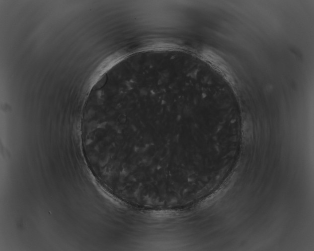 X0000090711425200708031424