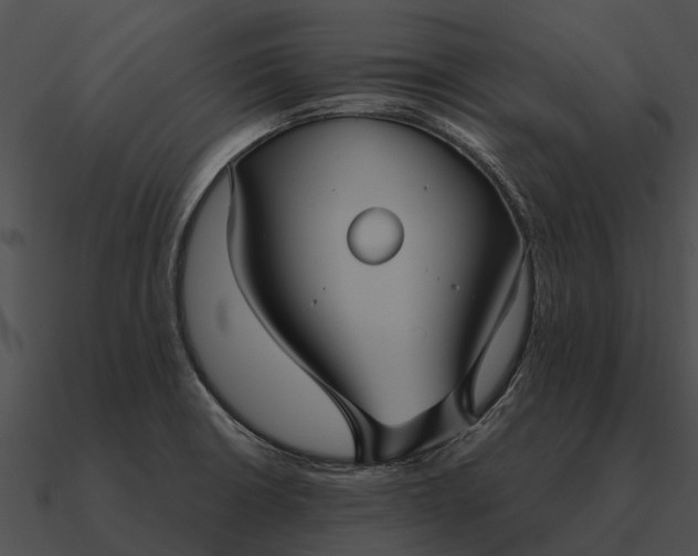 X0000090711426200708031424