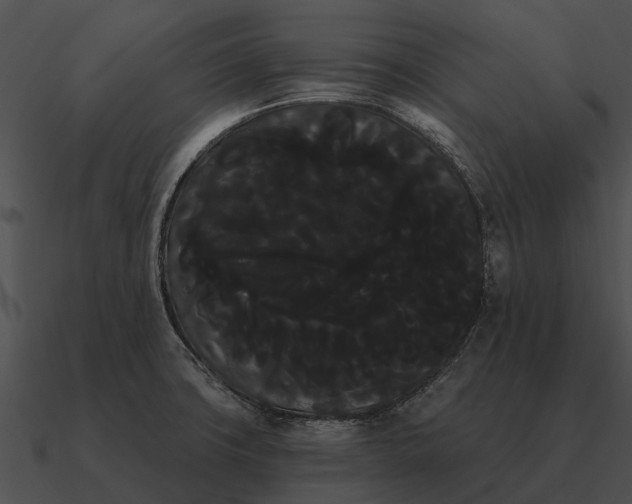 X0000090711427200708031424