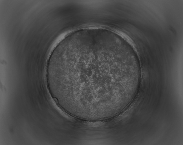 X0000090711429200708031424