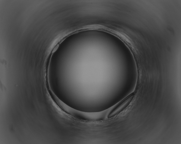 X0000090711430200708031424