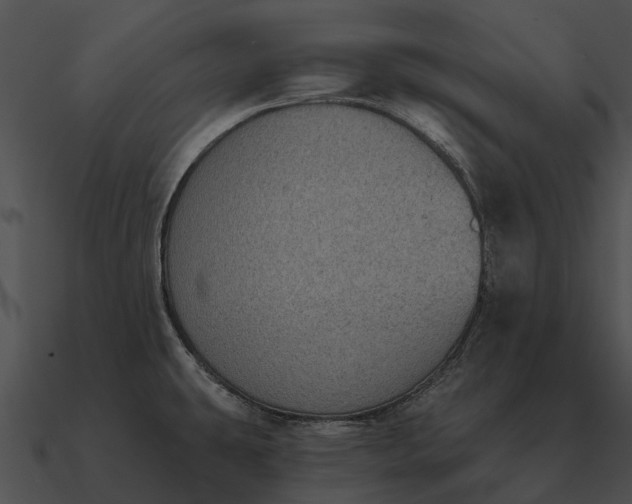 X0000090711431200708031424