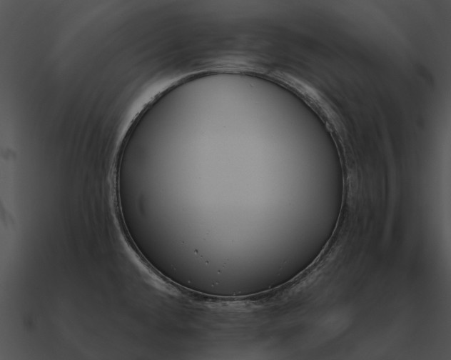 X0000090711432200708031424