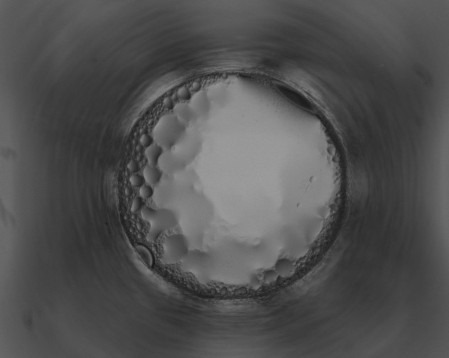 X0000090711433200708031424