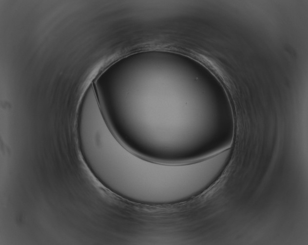 X0000090711434200708031424