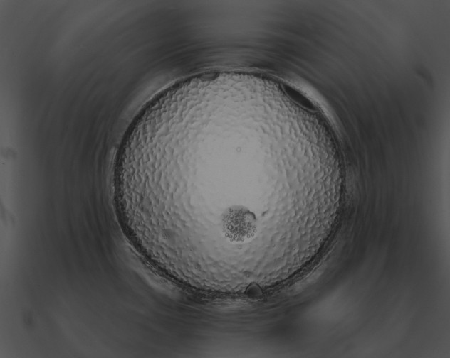 X0000090711435200708031424