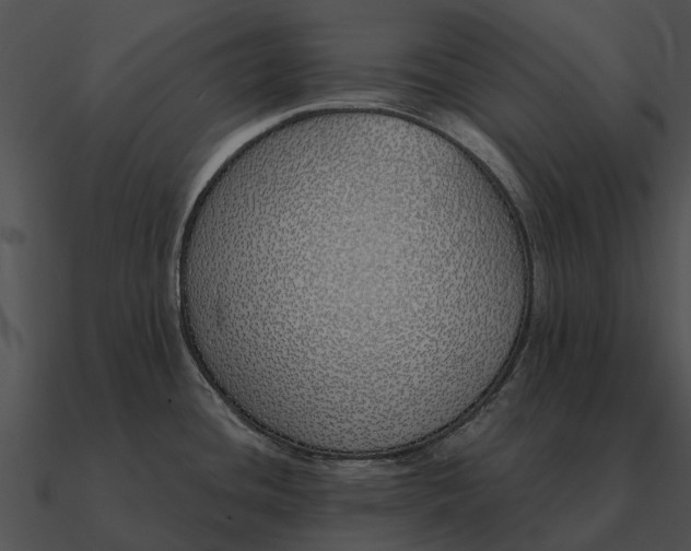 X0000090711436200708031424