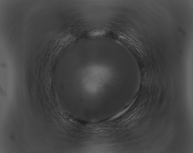 X0000090711441200708031424