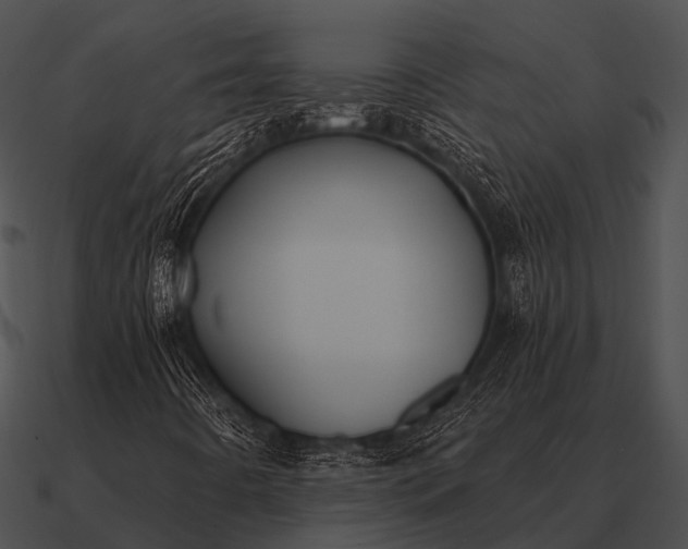 X0000090711442200708031424