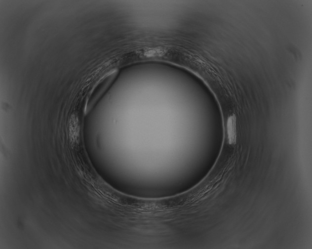 X0000090711443200708031424