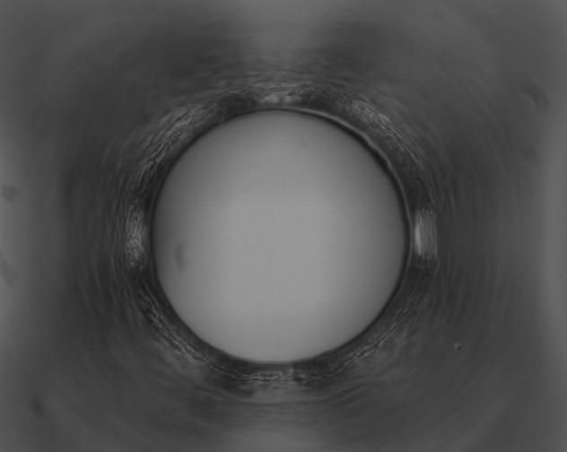 X0000090711444200708031424