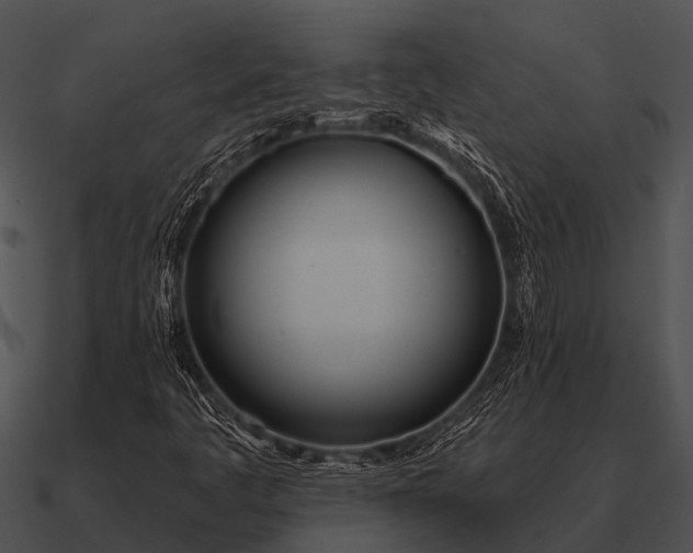 X0000090711445200708031424