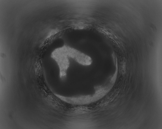 X0000090711446200708031424