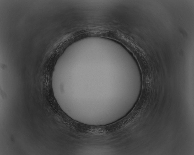 X0000090711447200708031424