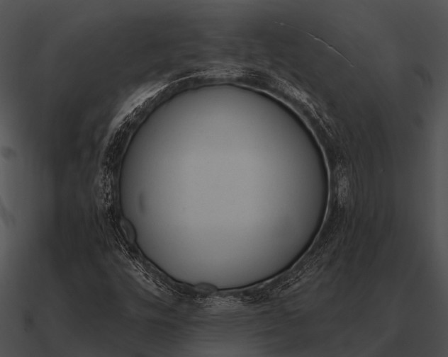 X0000090711448200708031424