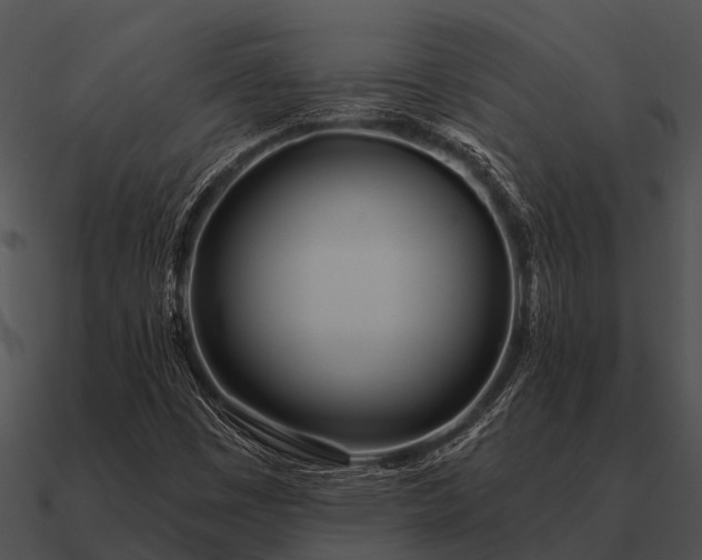 X0000090711449200708031424