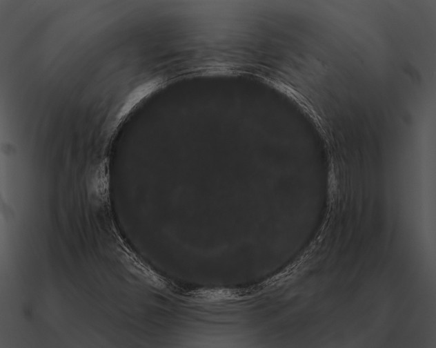 X0000090711450200708031424