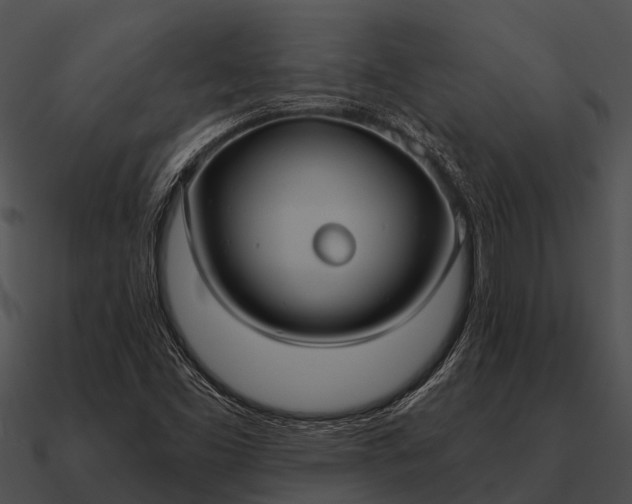 X0000090711453200708031424