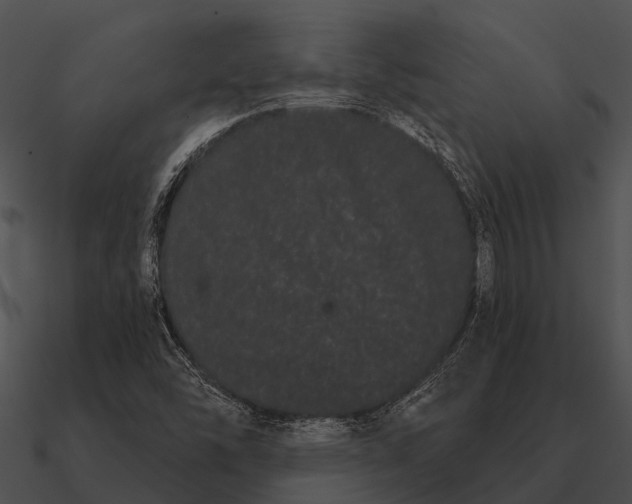 X0000090711454200708031424