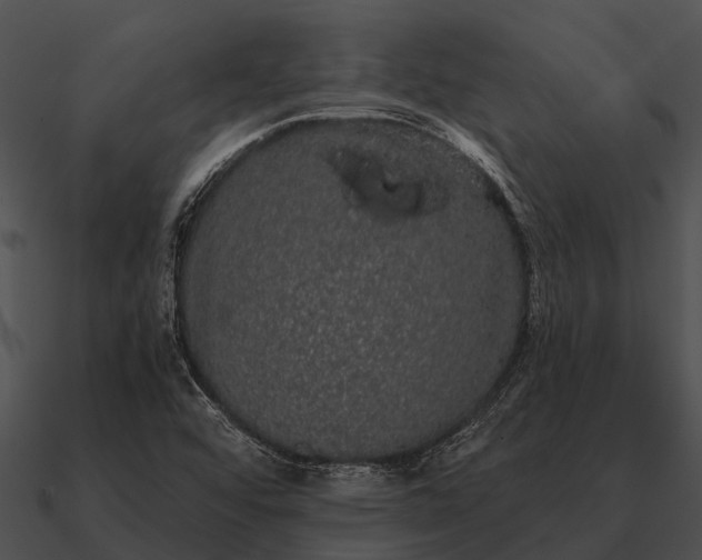 X0000090711456200708031423