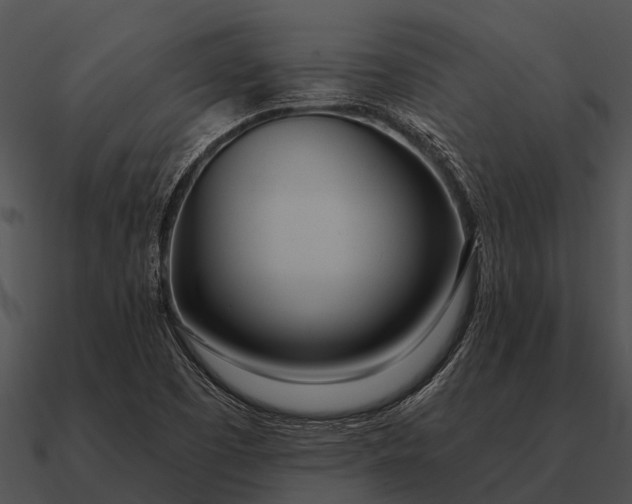 X0000090711457200708031423