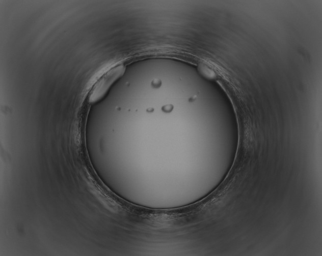 X0000090711458200708031423