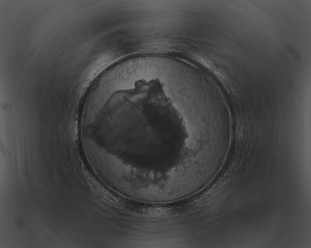 X0000090711459200708031423