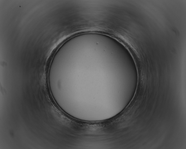 X0000090711460200708031423