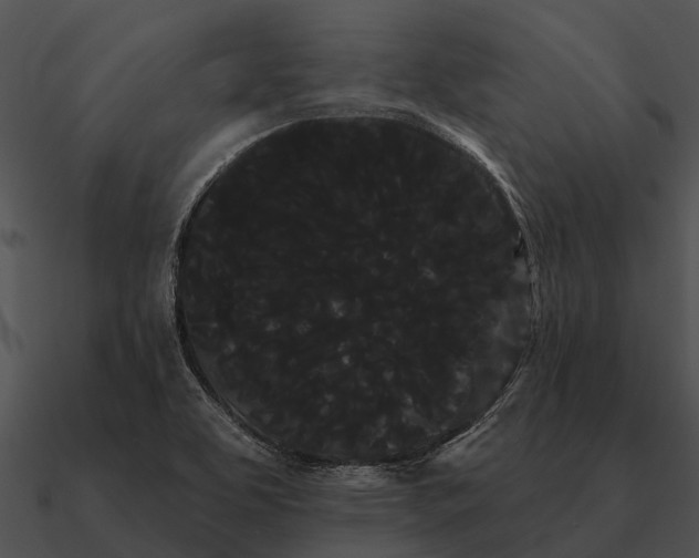 X0000090711463200708031423