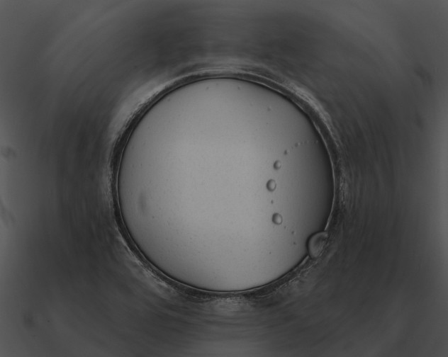 X0000090711464200708031423