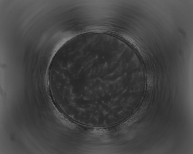 X0000090711466200708031423