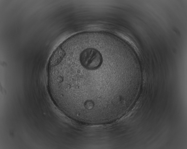 X0000090711467200708031423