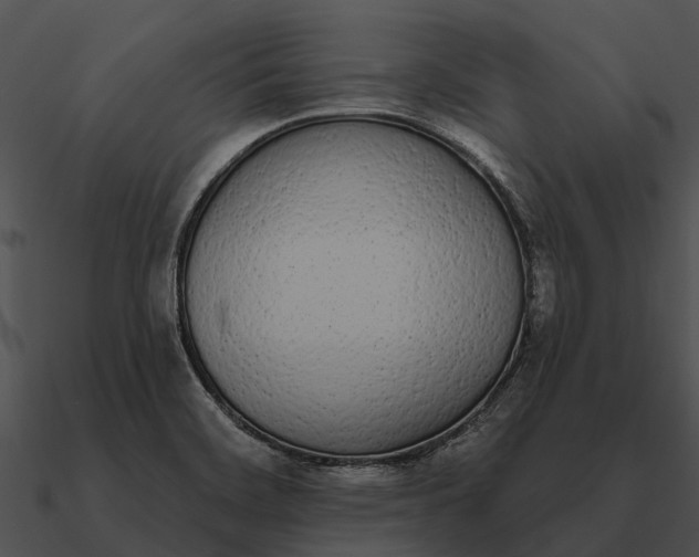 X0000090711468200708031423