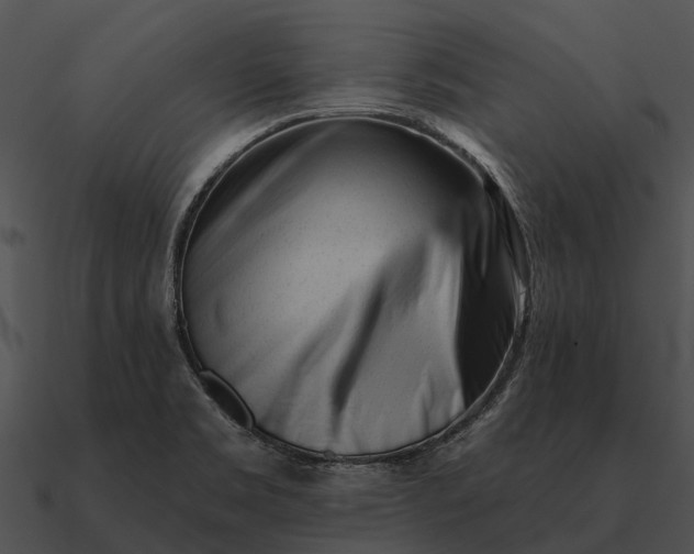 X0000090711469200708031423