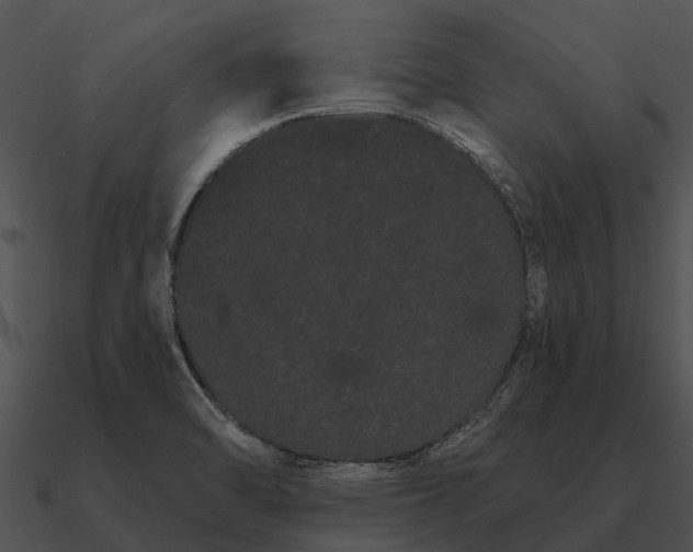 X0000090711470200708031423