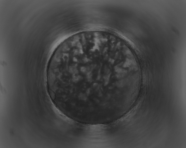 X0000090711471200708031423