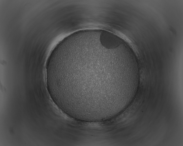 X0000090711472200708031423