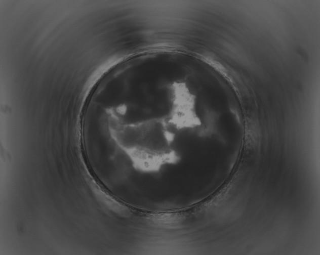 X0000090711474200708031423