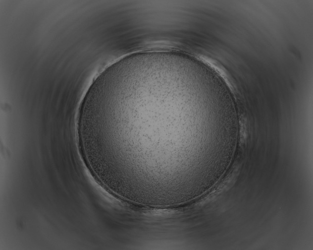 X0000090711475200708031423