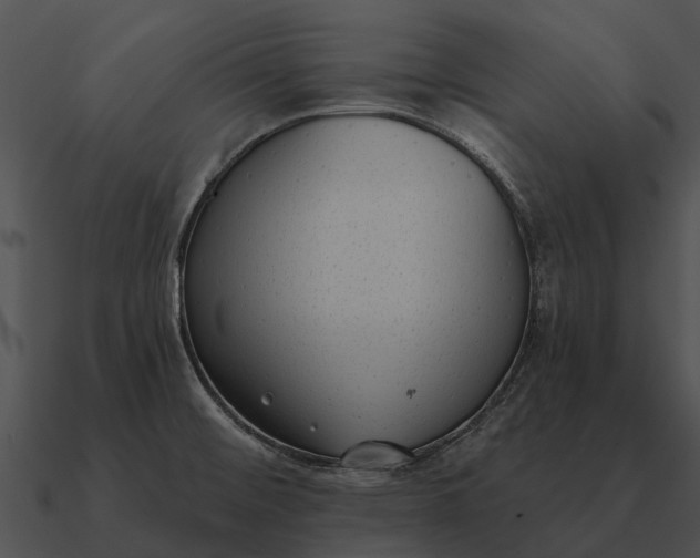 X0000090711476200708031423