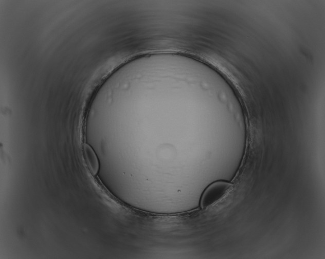 X0000090711477200708031423