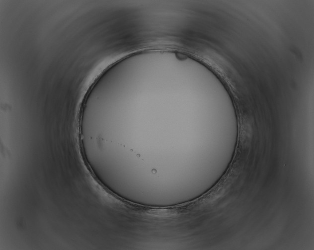 X0000090711478200708031423