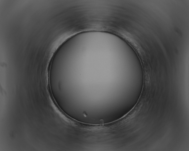 X0000090711479200708031423