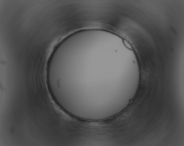 X0000090711480200708031423